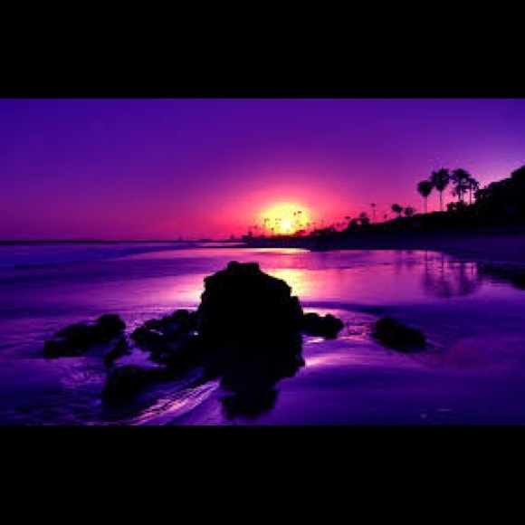 Meet your Posher, Antwanette - Picture 1 of 1